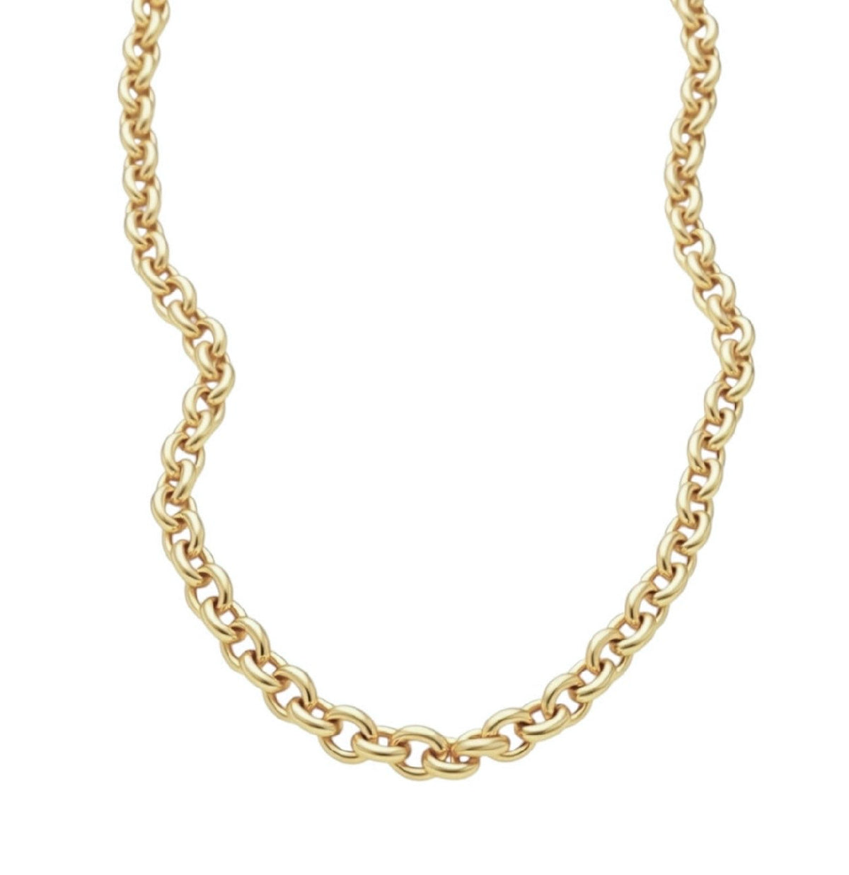 14KT Gold Essential Rolo Chain Necklace