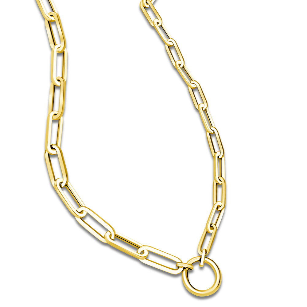 
                
                    Load image into Gallery viewer, 14KT Gold Lucie Charm Chain Necklace
                
            